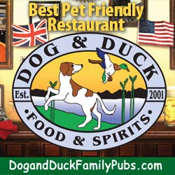 Locally owned, family friendly pub with 2 locations in the Charleston, SC area